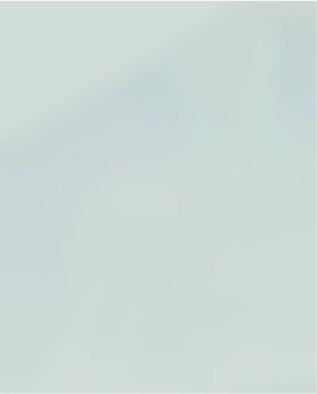 Rectangle 21